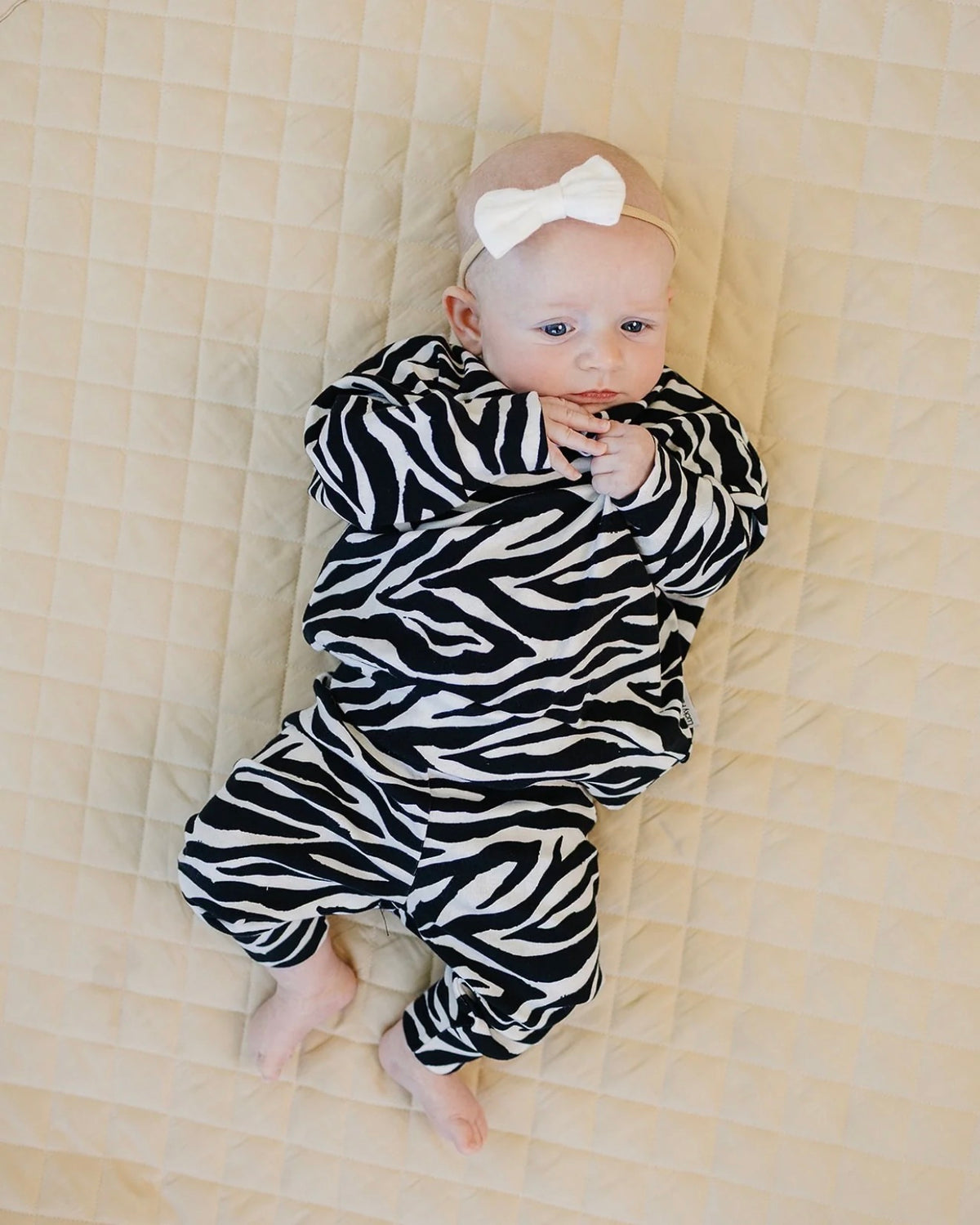 Zebra Jogger Set